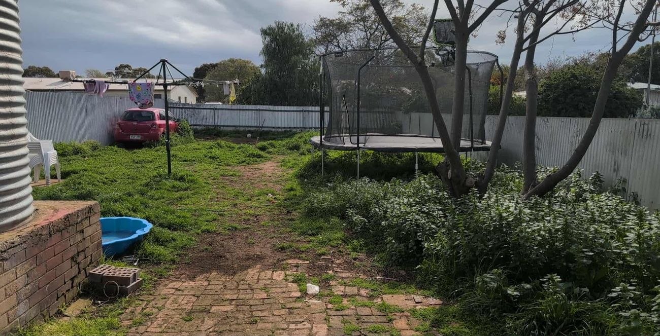 An overgrown suburban backyard with long grass, weeds through a brick path, a trampoline and a clothesline
